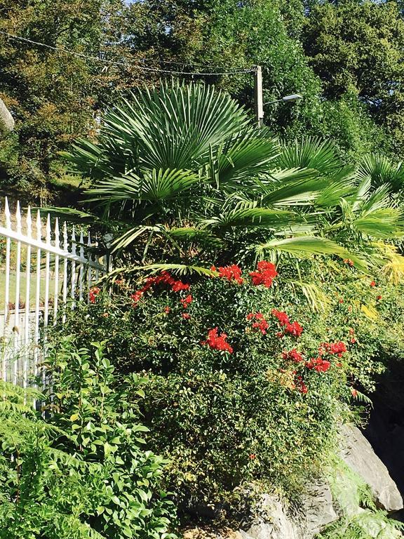 Les Gites De La Maison Bleue D'Estialescq מראה חיצוני תמונה